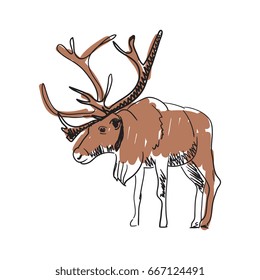 Reindeer hand drawn icon isolated on white background vector illustration. Northern wild animal pictogram, zoo sketch emblem
