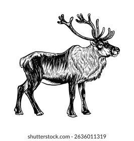 Reindeer hand drawn sketch vector illustration
