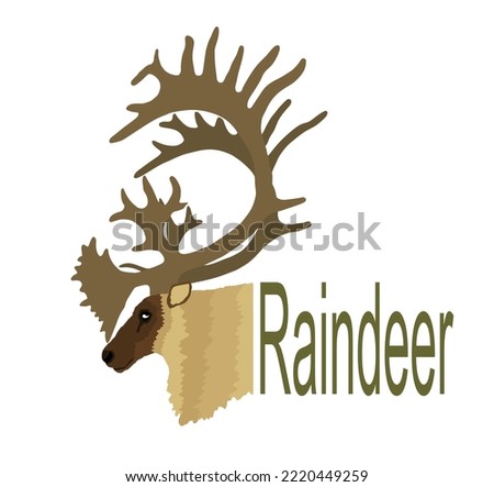 Reindeer head vector illustration isolated on white background. Rein deer powerful animal. Christmas holiday symbol. Huge antlers buck.