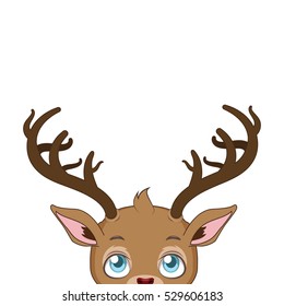 Reindeer looking up ( blank background )