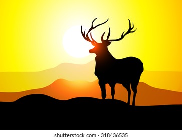 Reindeer & Mountain Sunshine