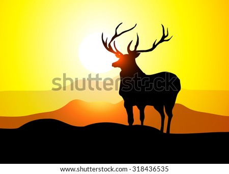 Reindeer & Mountain Sunshine