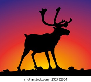 reindeer on the background of sunset sky