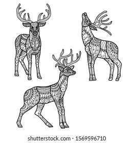Reindeer pattern.
Zentangle stylized cartoon isolated on white background. 
Hand drawn sketch illustration for adult coloring book. 
