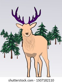 reindeer in the pine forest -vector