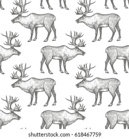 Reindeer. Seamless pattern with animals North America. Hand drawing of wildlife. Vector illustration art. Black and white. Old engraving. Vintage. Design for fabrics; paper; textiles; fashion.