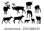 Reindeer silhouettes set. Males, females and calves of caribou Rangifer tarandus. Wild animals of the tundra and taiga. realistic vector