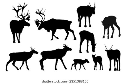 Reindeer silhouettes set. Males, females and calves of caribou Rangifer tarandus. Wild animals of the tundra and taiga. realistic vector