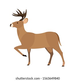 Reindeer vector emoji illustration flat design isolated deer