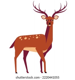 Reindeer vector illustration concept designs