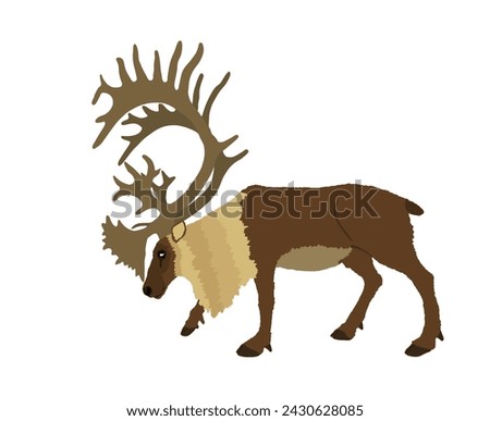 Reindeer vector illustration isolated on white background. Rein deer powerful animal. Christmas holiday symbol. Santa Claus best friend. Huge antlers buck.