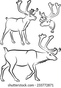 reindeer - vector outlines and silhouettes