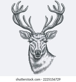 Reindeer Vector Tshirt Design Logo Icon Greeting Card Illustration