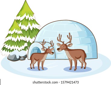 Reindeers and igloo in winter illustration