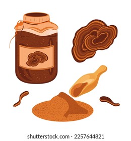 Reishi mushroom, broth, powder. Vector set on a white background