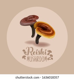 Reishi mushroom ( Ganoderma lucidum ) or lingzhi mushroom. Healthy organic superfood, vector illustration