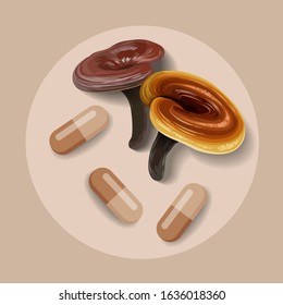 Reishi mushroom ( Ganoderma lucidum ) or lingzhi mushroom. Healthy organic superfood, vector illustration