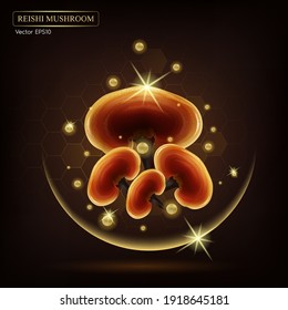 Reishi mushroom (Ganoderma lucidum). Traditional chinese herbs, Is a mushroom that using for medicine and food famous in Asian. Healthy superfood. Brown, orange color mushroom. Vector EPS10