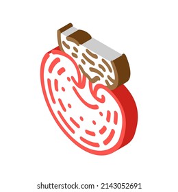 reishi mushroom isometric icon vector. reishi mushroom sign. isolated symbol illustration
