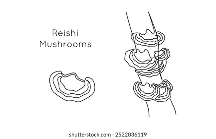 Reishi mushrooms in one continuous line drawing. Organic ganoderma lucidum fungi in simple linear style. Superfood medicinal and edible plant in editable stroke. Doodle vector illustration