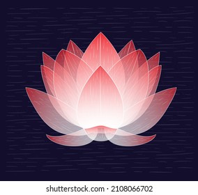 related hand drawn lotus flower vector illustration