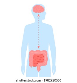 Relation Health Of Brain And Intestine Gut. Connection Healthy Of Human Brain And Gut, Second Brain. Unity Of Mental And Digestive. Vector Flat Cartoon Illustration