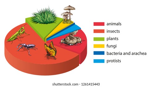 Relations  of the number of groups of living beings - pie chart