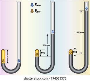 Relationship between Pressure and Volume (Boyle's Law)
