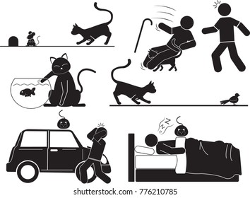 relationship of cat and human