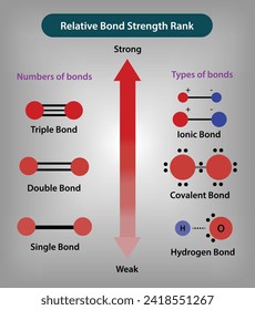 Relative bond Strength Rank Vector