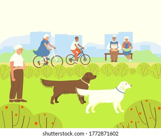 Relax in park for the elderly. Dog handler walks Labradors. A couple reads on a bench. Grandma rides a bicycle with her grandson. Summer time of the year. Flat vector illustration.