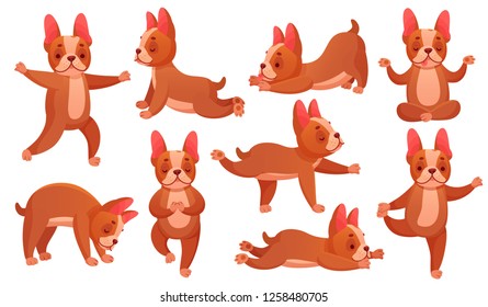 Relax yoga dog. Animal sport fitness training, dogs doing healthy relaxing exercise and beagle meditation. French bulldog stretching training posture. Catroon vector illustration isolated icons set