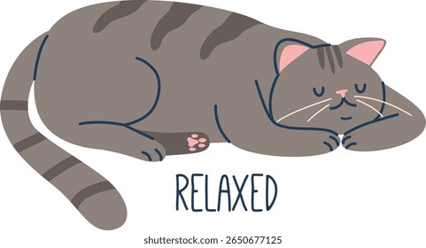 Relaxed cat pet animal language