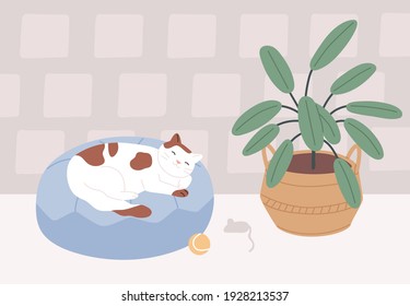 Relaxed cat sleeping in its bed in cozy room with plant. Cute sleepy pet lying on cushion at home. Colored flat vector illustration of kitty dreaming on pillow