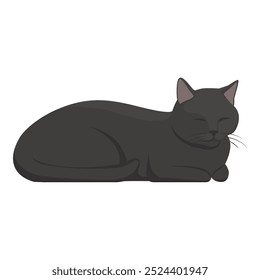 Relaxed dark gray cat sleeping with eyes closed, isolated