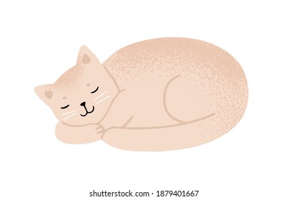 Relaxed fluffy beige cat sleeping vector flat illustration. Cute domestic animal lying enjoying relaxation isolated on white. Funny kitten with furry tail asleep. Happy pet resting with closed eyes