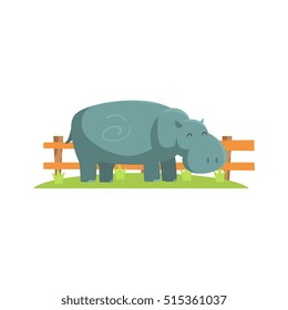 Relaxed Grey Hippo Standing On Green Grass Patch In Open Air Zoo Enclosure