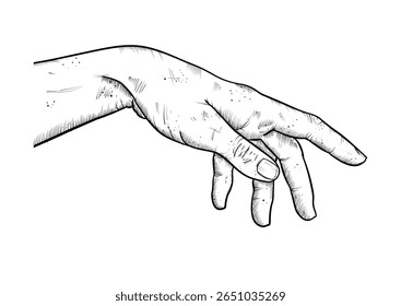  Relaxed hand reaching - vector illustration