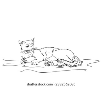 Relaxed lazy cat sketch, Hand drawn illustration of a lying adult male cat