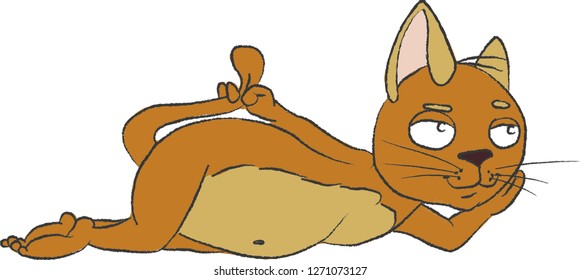 relaxing cat, kitty
