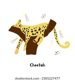 Relaxing cheetah is lying down on the tree isolated on white background. Vector illustration.