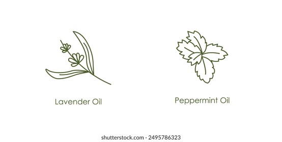 Relaxing Lavender, Peppermint Oil Vector Icons