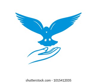 Releasing Pigeon Bird Symbol of peace and freedom