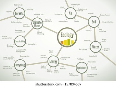 Relevant terms and connections about ecology