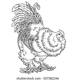 Reliable rooster black contour line on white background. Big cock of breed Bramah. Fiery chicken a symbol of the Chinese new year 2017. Vector illustration. Vintage.