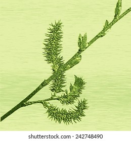 Relief of embossed blooming willow twig