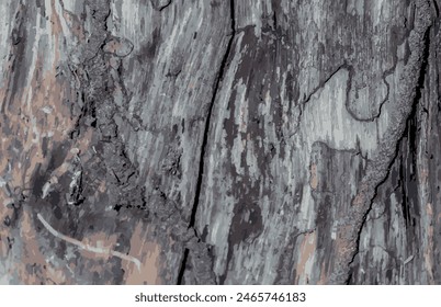 Relief texture of the brown bark of a tree with moss on it in Brazil. Tree bark texture. Relief creative wooden texture of an old bark. Tree skin.