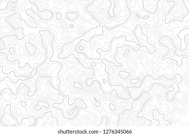 Relief topographic map of the area with high-level contour contours and geodetic grid. Abstract vectror line background isolated on white.