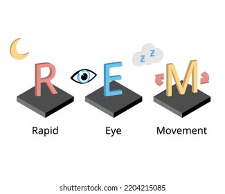 REM Or Rapid Eye Movement In Sleep Circle Which Is The Sleep Stage That Make You Dream