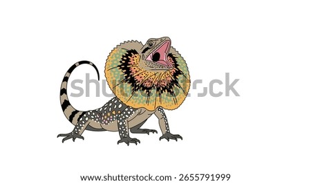Remarkable frilled neck lizard displays its distinctive protective neck frill while threateningly opening its mouth